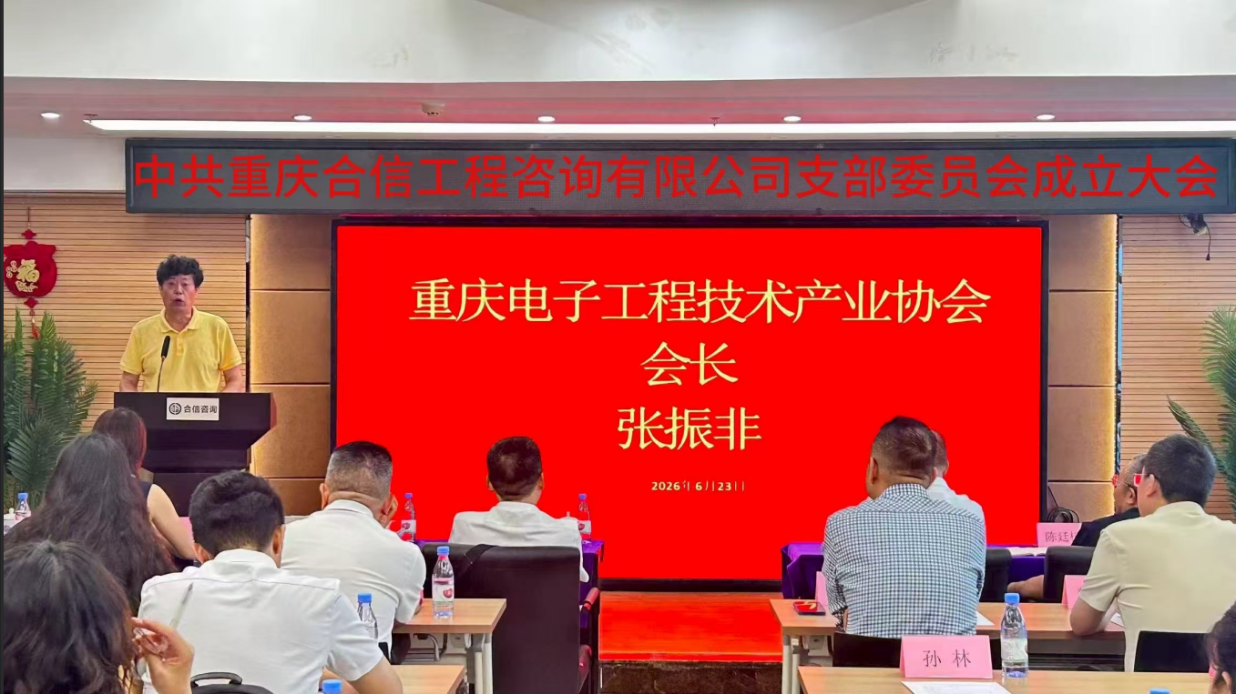 中共重庆合信工程咨询有限公司支部委员会成立大会